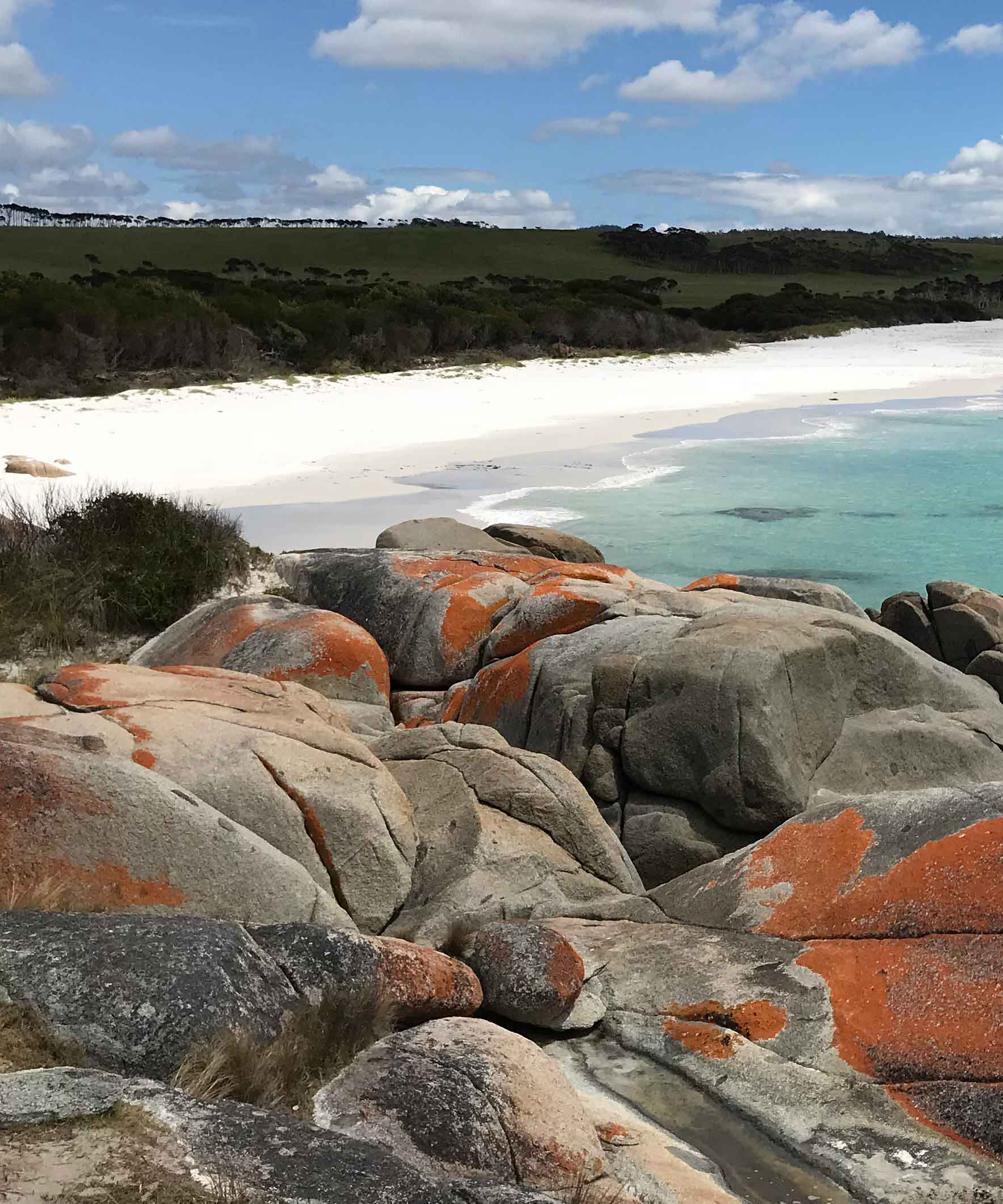 Coloured rocks with a beach in the background.