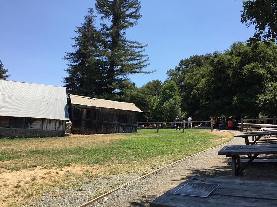 Picnic area and old buildings at Picchetti Winery