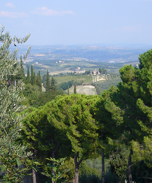 Tuscan vineyards and countryside in Italy.
