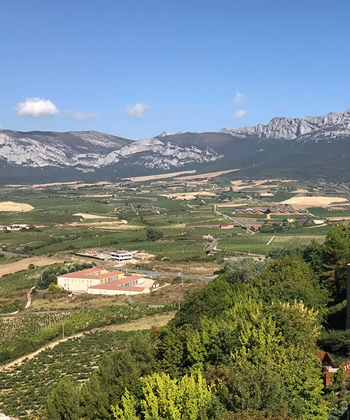 Spanish countryside, snow capped mountains in the background.