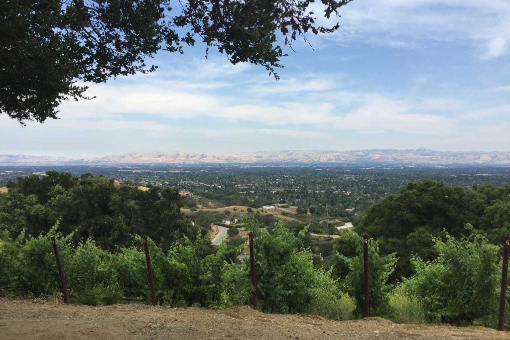View of the valley and mountains form House Family Vineyards